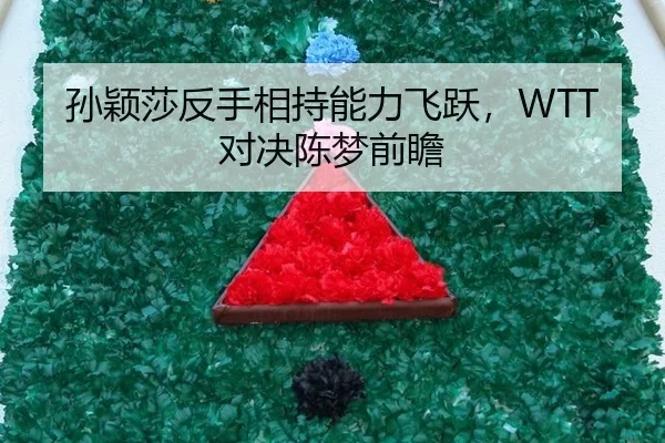 sun-ying-sha-fan-shou-xiang-chi-neng-li-fei-yue-dui-jue-chen-meng-qian-zhan-2-271.jpg