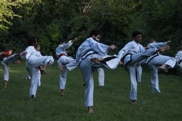taekwondo kick